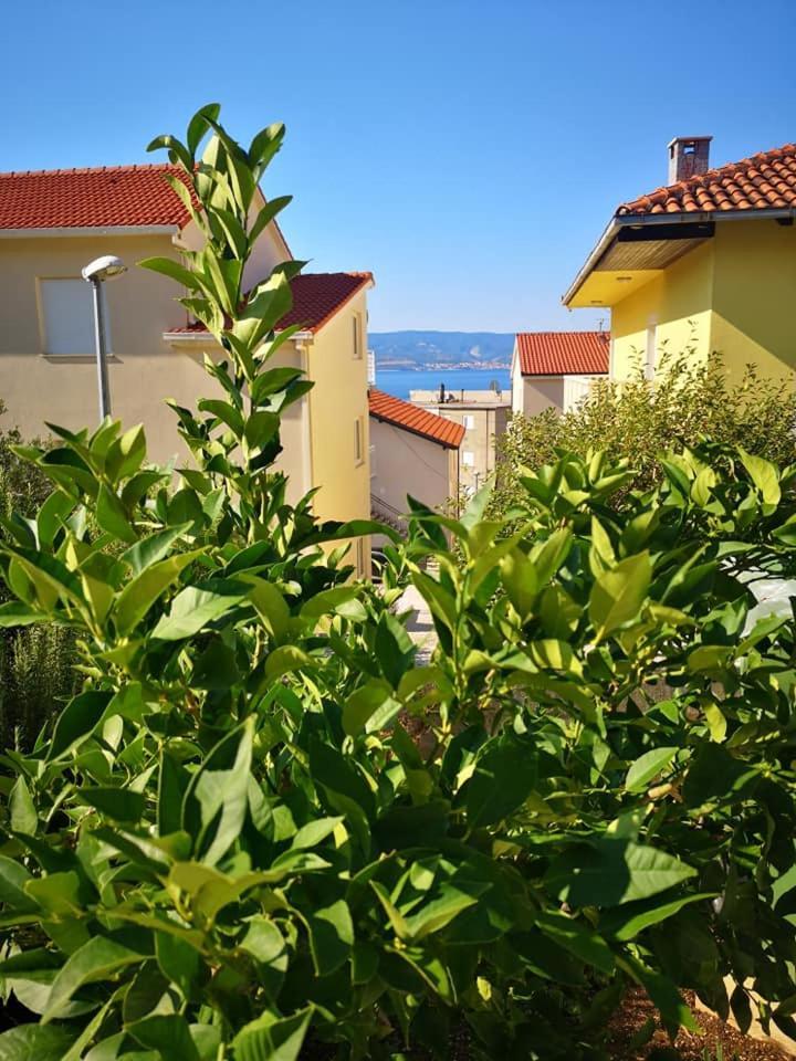 Apartment Livajic